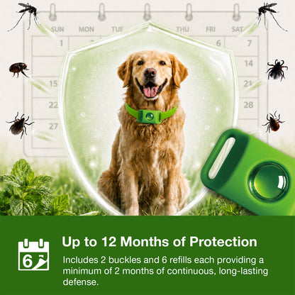 Flea & Tick Buckles 2-Pack