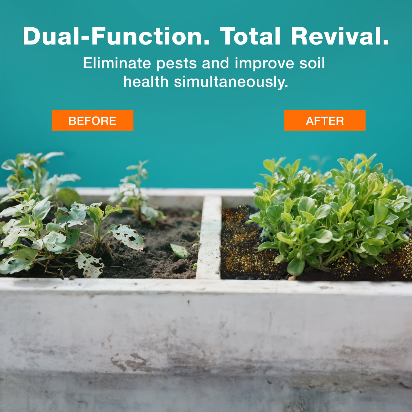 V-Granules Multi-Purpose Pest Control & Soil Aid  1.95LB Indoor/Outdoor