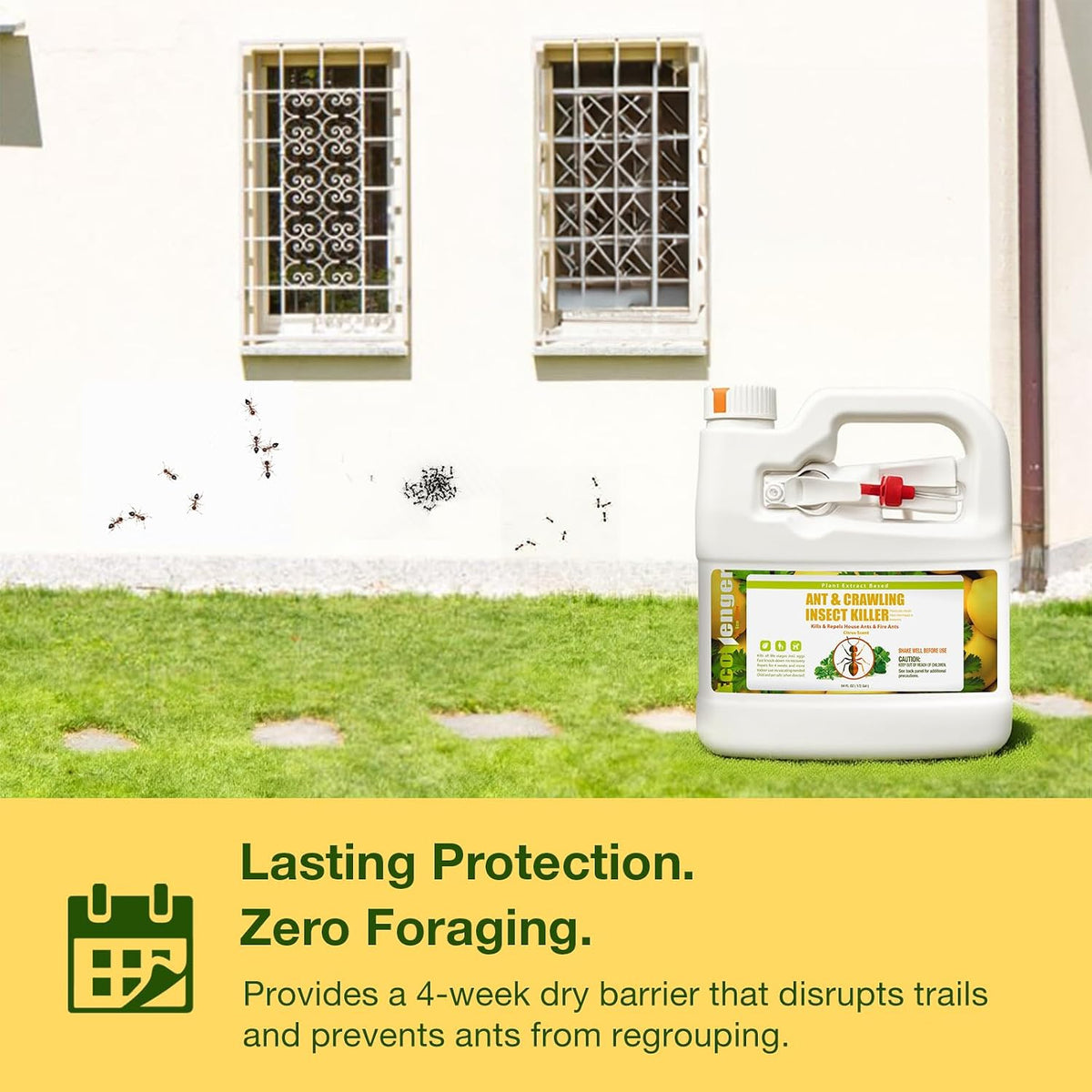 Ant Killer & Nest Treatment Remote Spray 64 oz