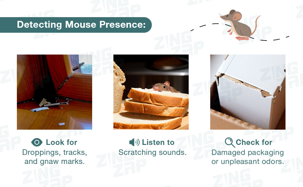 ZingZap Mouse & Insect Glue Traps/Board 13 Pack