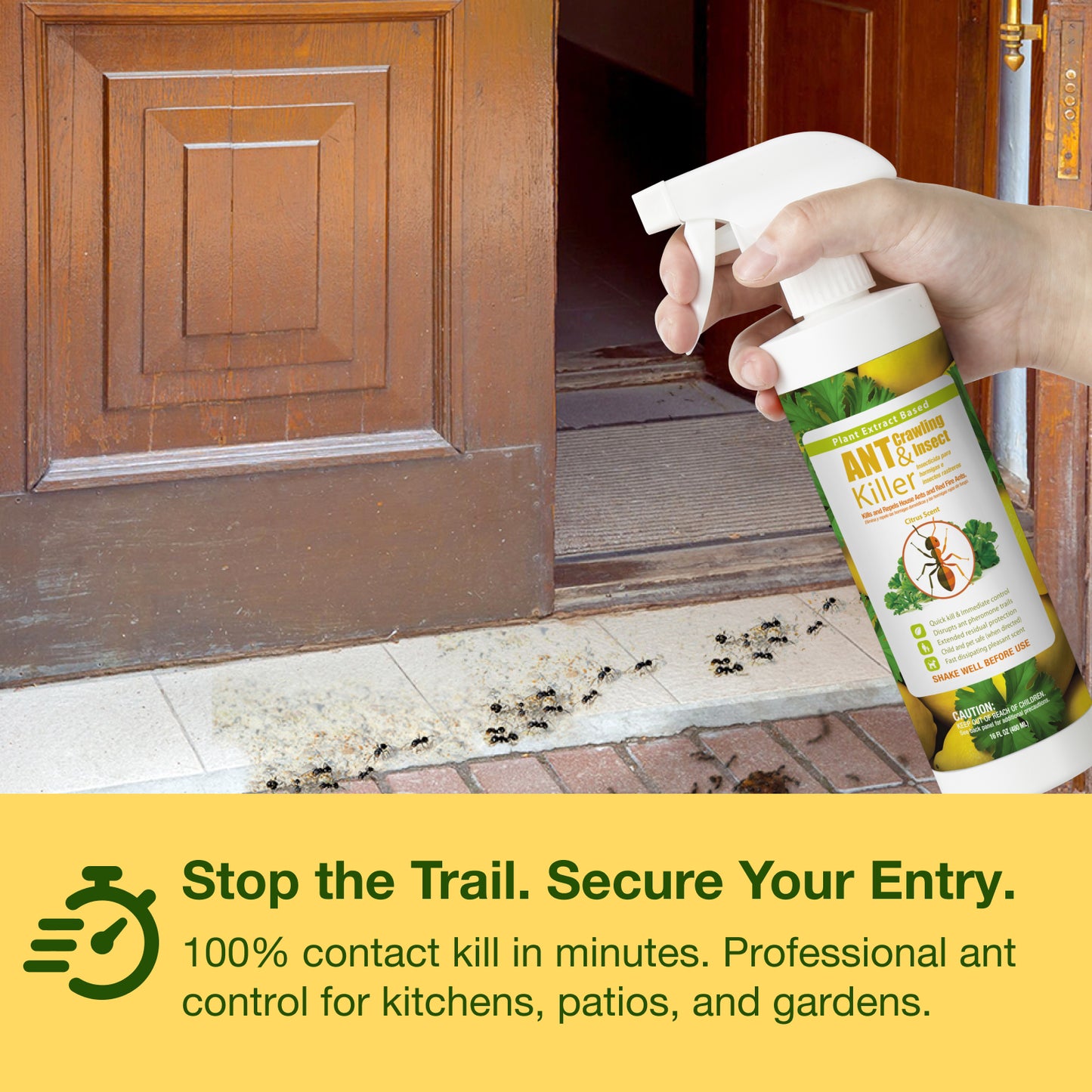 Ant Killer & Crawling Insect Killer Spray 16 oz