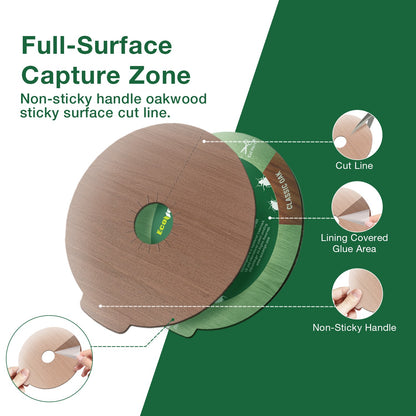 Bed Bug Killer 1 Gallon Refill & DEssential Dust Bundle