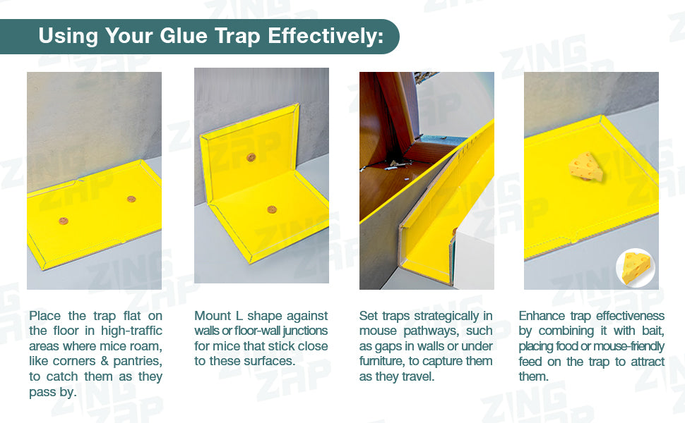 ZingZap Mouse & Insect Glue Traps/Board 13 Pack