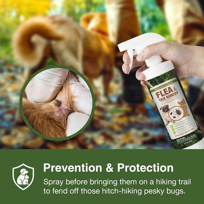 Flea & Tick Removal Spray 16 oz for Dogs and Cats