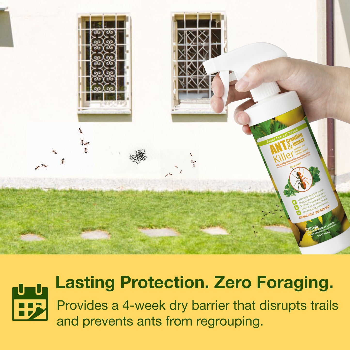 Ant Killer & Crawling Insect Killer Spray 16 oz