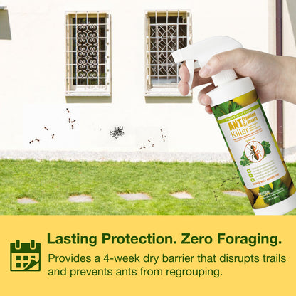Ant Killer & Crawling Insect Killer Spray 16 oz