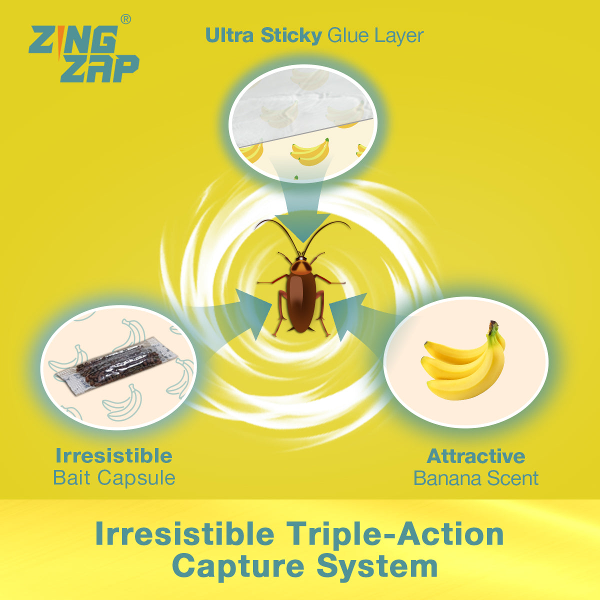 13-Pack Roach Glue Traps - Banana, Cantaloupe or Passion Fruit Scented – Infused with Natural Bait for 3 X Faster Results!