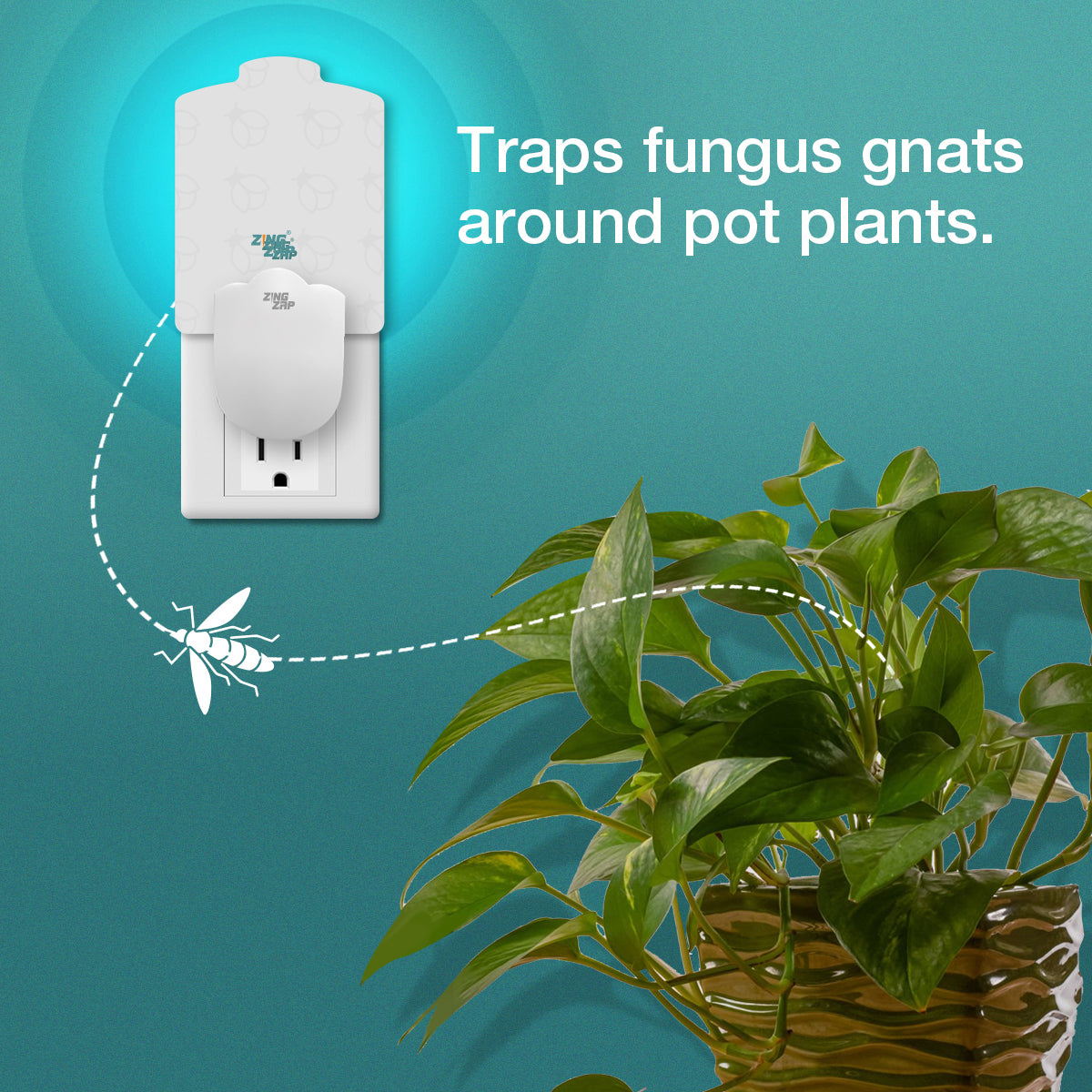 Flying Insect Plug-in Trap