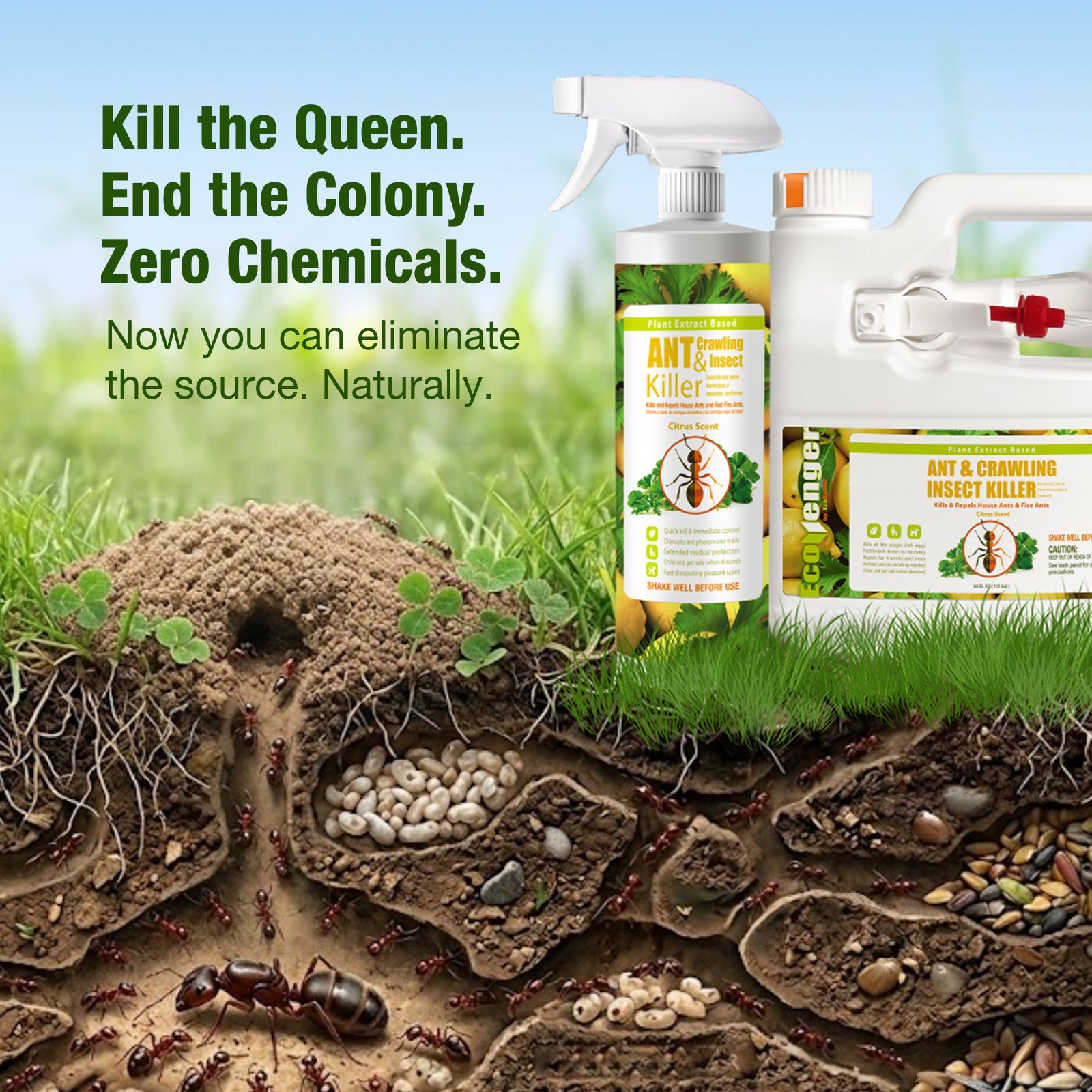 natural spray for ants in garden EcoRaider Ant Killer & Crawling Insect Killer (Citrus Scent) 16 OZ, Natural & Non-Toxic