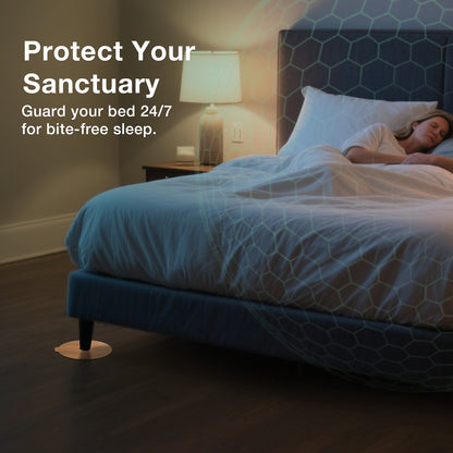 Bed Bug Killer 1 Gallon Refill & DEssential Dust Bundle