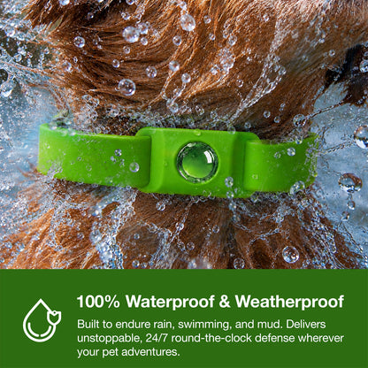 Flea & Tick Buckles 2-Pack