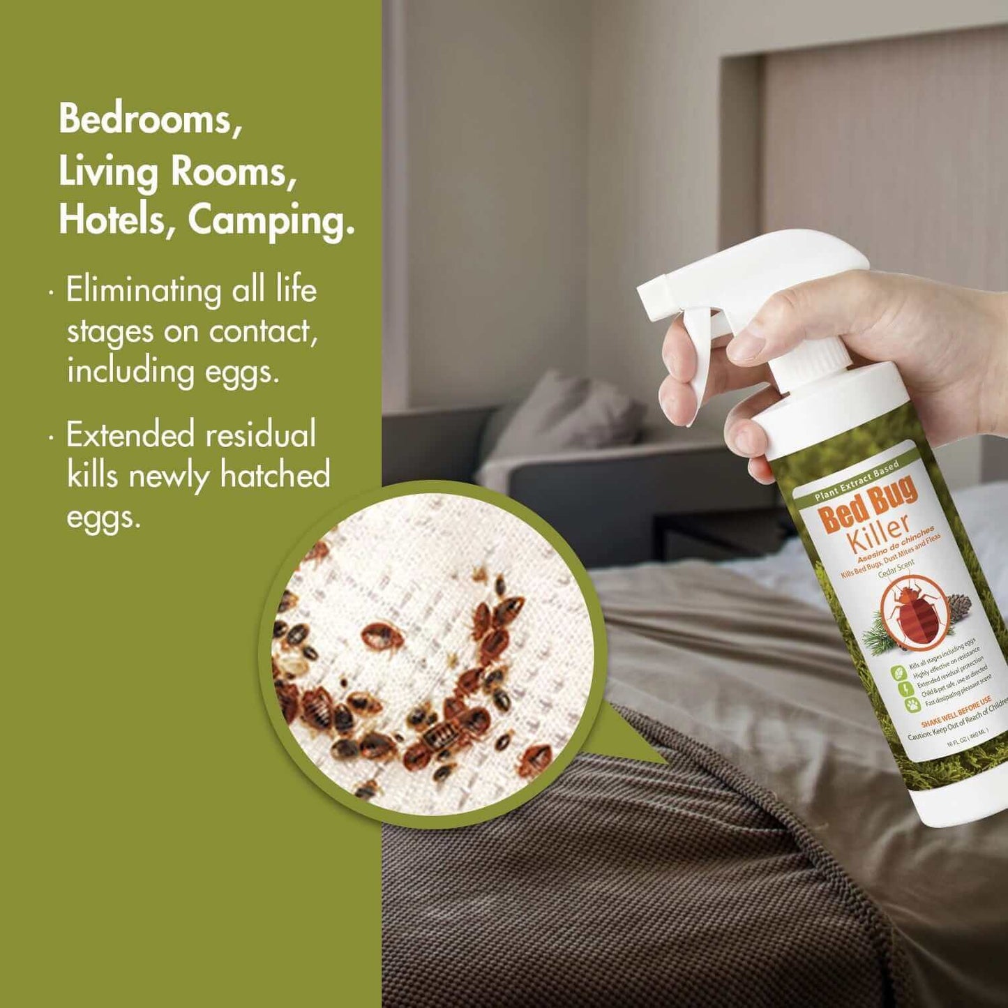Bed Bug Killer Spray 3 oz 6-Pack Travel Size TSA Approved