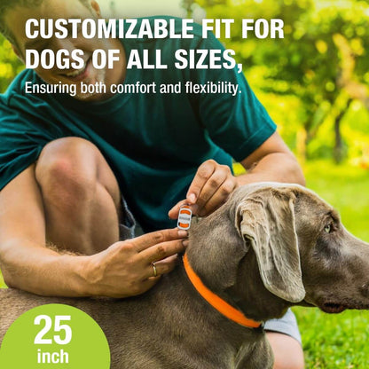 Ecovenger Flea & Tick Collar Repellent 2-Pack