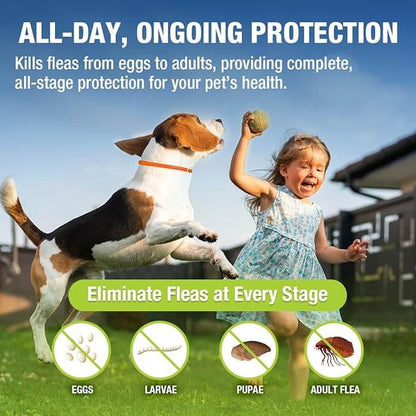 Ecovenger Flea & Tick Collar Repellent 2-Pack