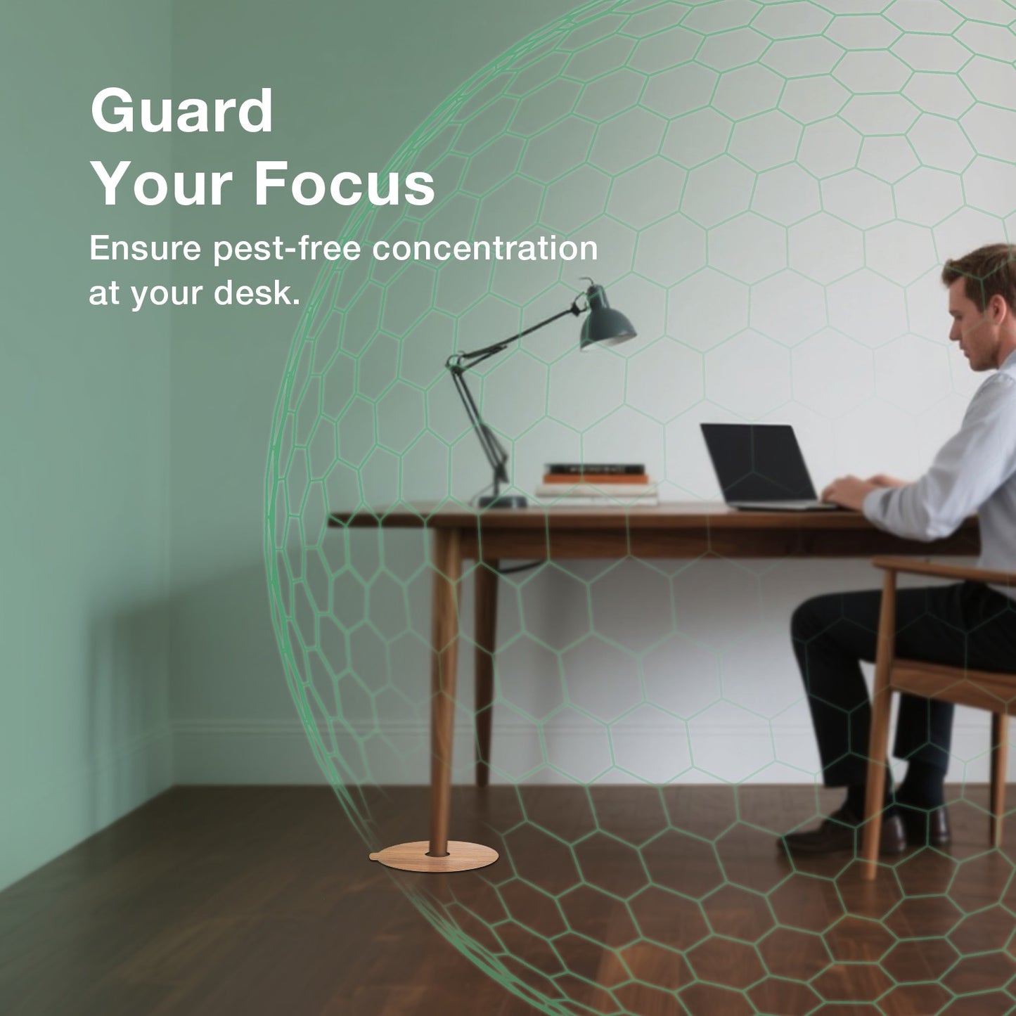 Bed Bug Killer 1 Gallon Refill & DEssential Dust Bundle