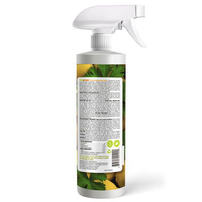 Ant Killer & Crawling Insect Killer Spray 16 oz