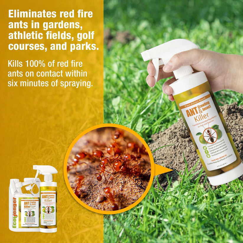 EcoVenger Ant & Crawling Insect Killer Remote Spray 64 oz