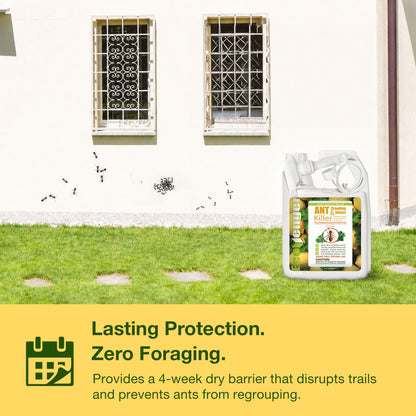 Ant & Crawling Insect Killer Remote Spray 32 oz