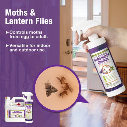 Insect Control All Purpose 2 oz 6-Pack