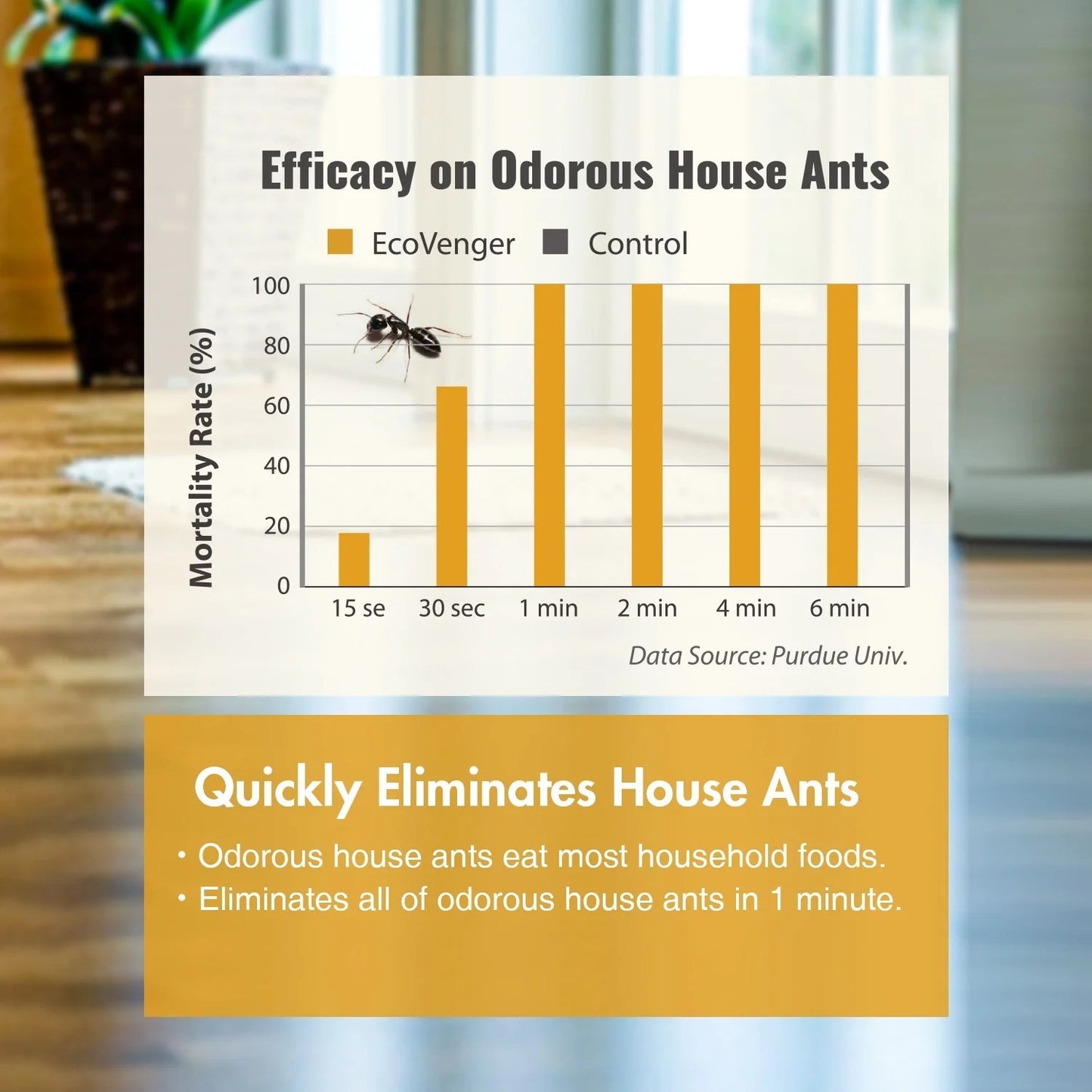 Ant & Crawling Insect Killer Remote Spray 64 oz