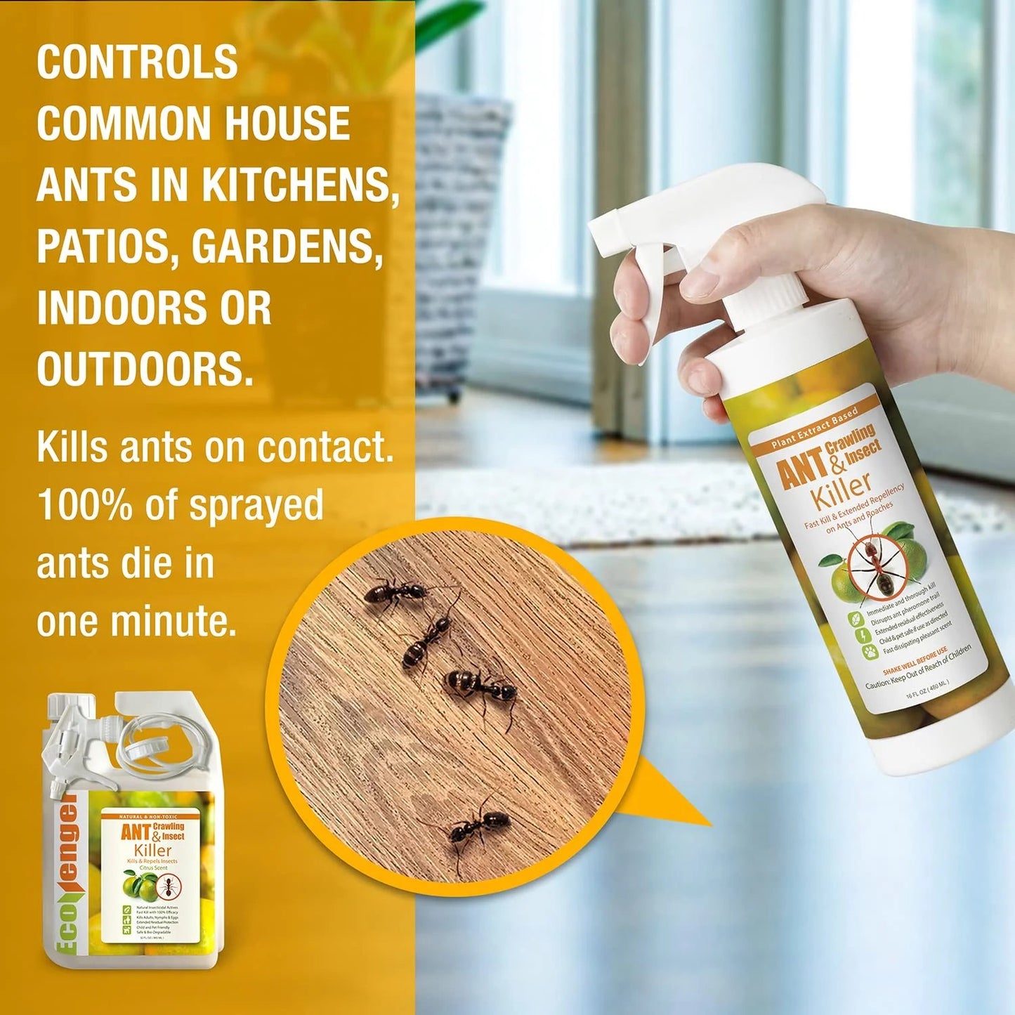 Ant & Crawling Insect Killer Remote Spray 64 oz