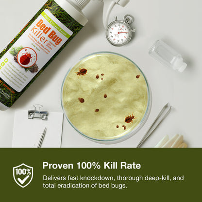 Bed Bug Killer Spray 16 oz x 20 Case