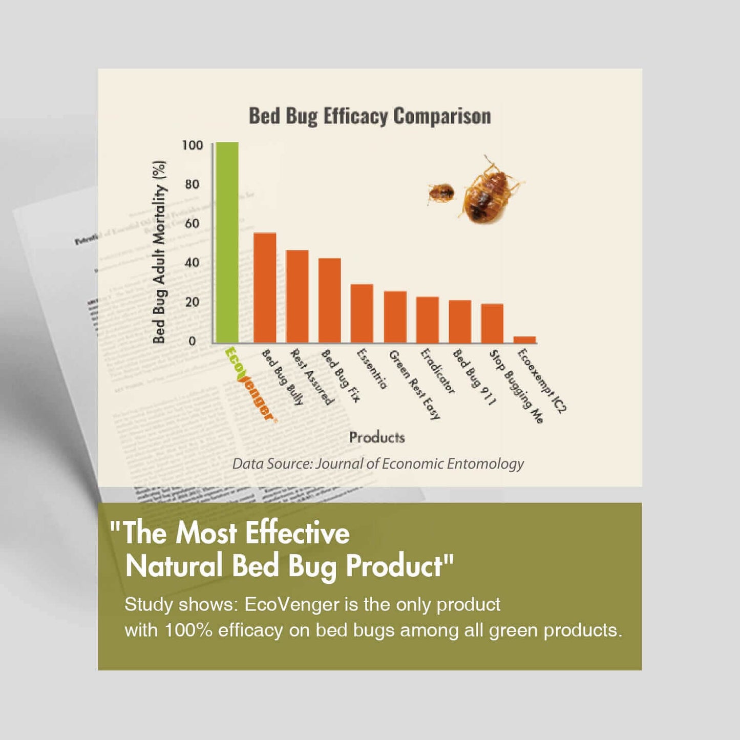 Bed Bug Killer Spray 3 oz 6-Pack Travel Size TSA Approved