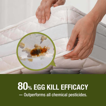 Bed Bug Killer Spray 3 oz 6-Pack Travel Size TSA Approved