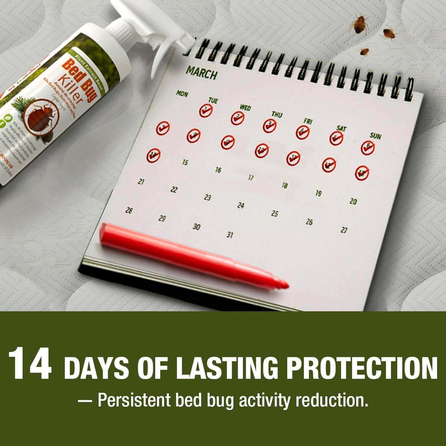 Bed Bug Killer Spray 3 oz 6-Pack Travel Size TSA Approved