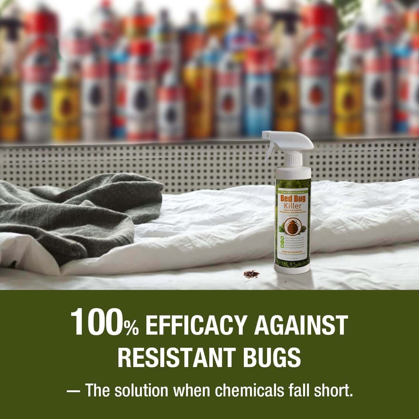 Bed Bug Killer Spray 3 oz 6-Pack Travel Size TSA Approved