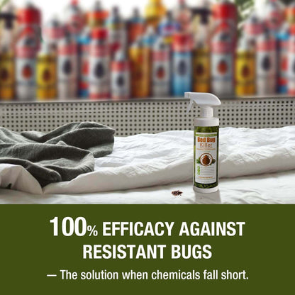 Bed Bug Killer Spray 3 oz 6-Pack Travel Size TSA Approved