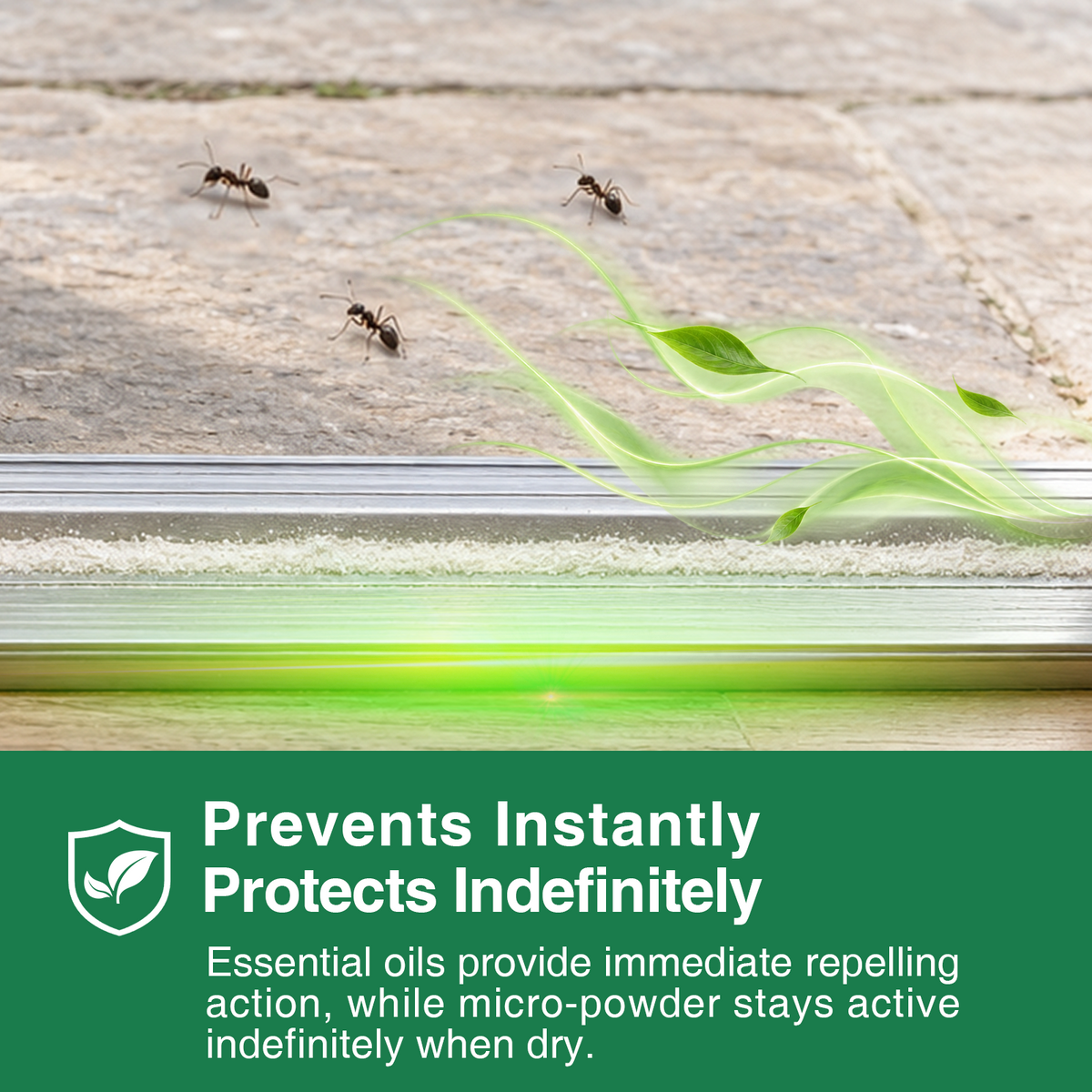 DEssential Dust Food Grade for Bed Bugs and Other Crawling Insect Control