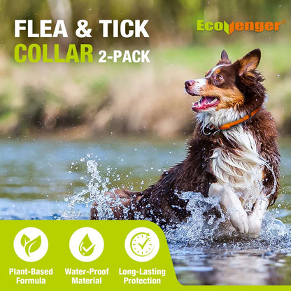Flea & Tick Collar