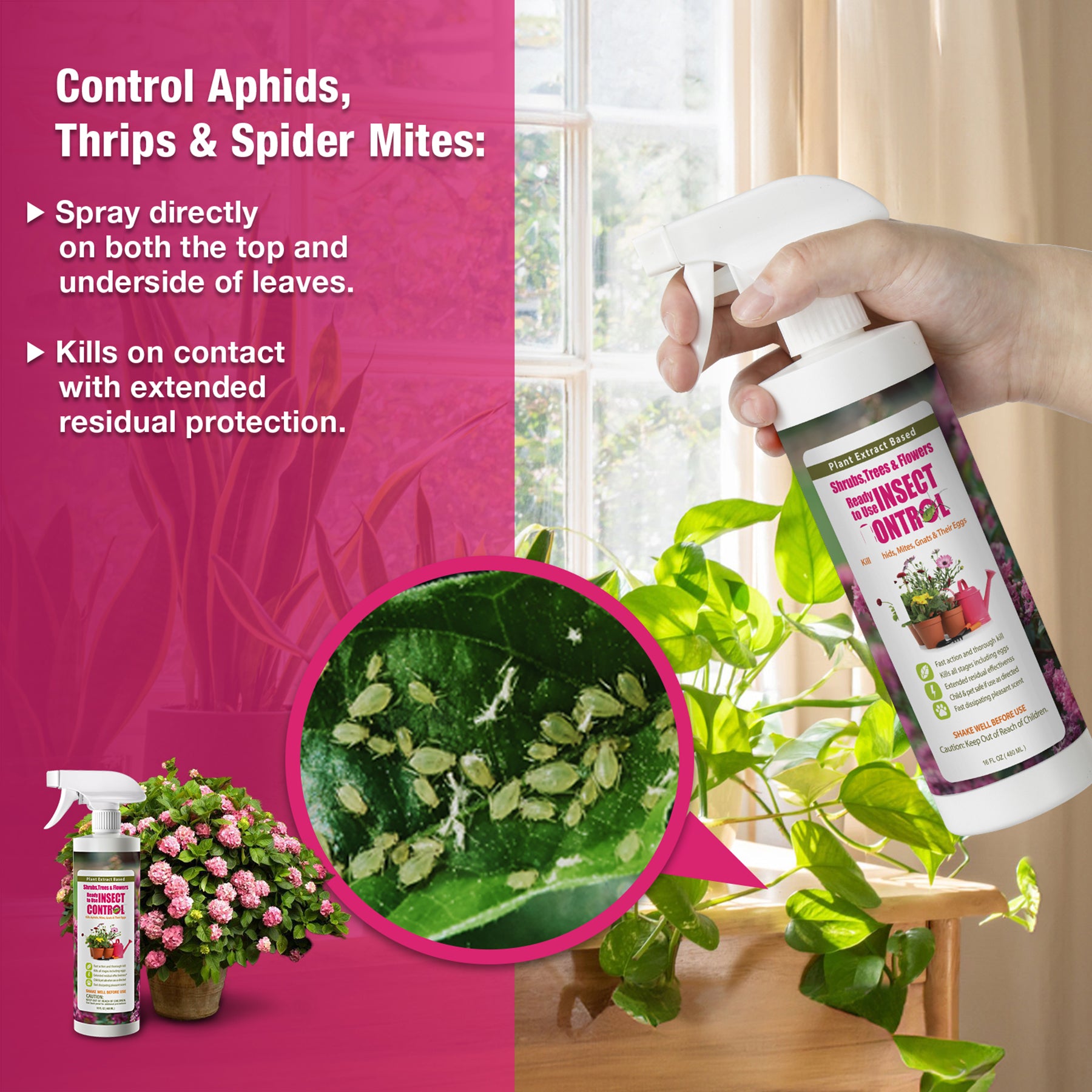 INSECT CONTROL