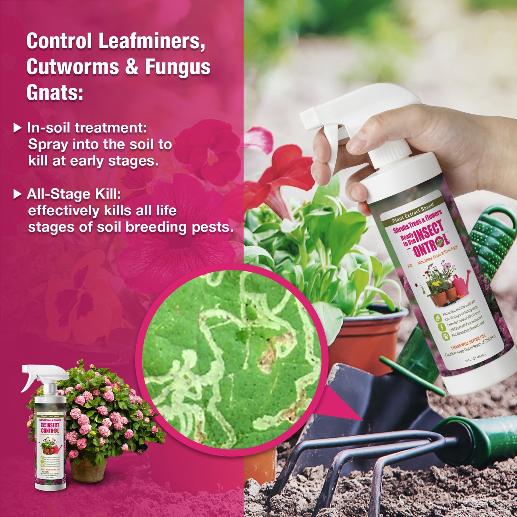 safe garden bug spray EcoVenger (Formerly EcoRaider) Garden Insect Control 16 oz, Plant Extract Based, Indoor & Outdoor, Kills Aphids, Mealybugs, Spider Mites and Gnats