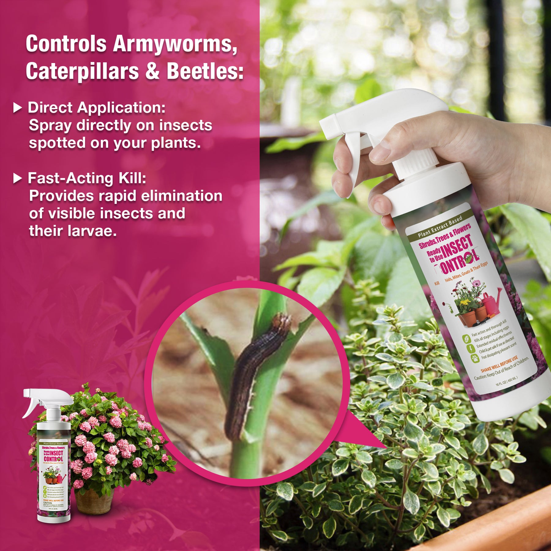 safe garden bug spray EcoVenger (Formerly EcoRaider) Garden Insect Control 16 oz, Plant Extract Based, Indoor & Outdoor, Kills Aphids, Mealybugs, Spider Mites and Gnats