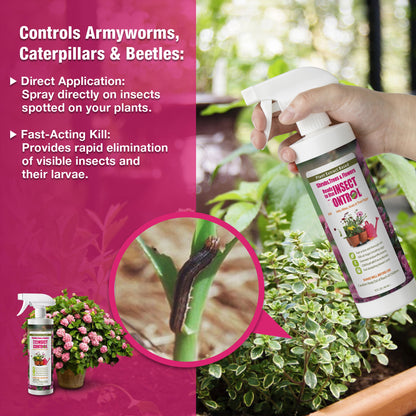 INSECT CONTROL