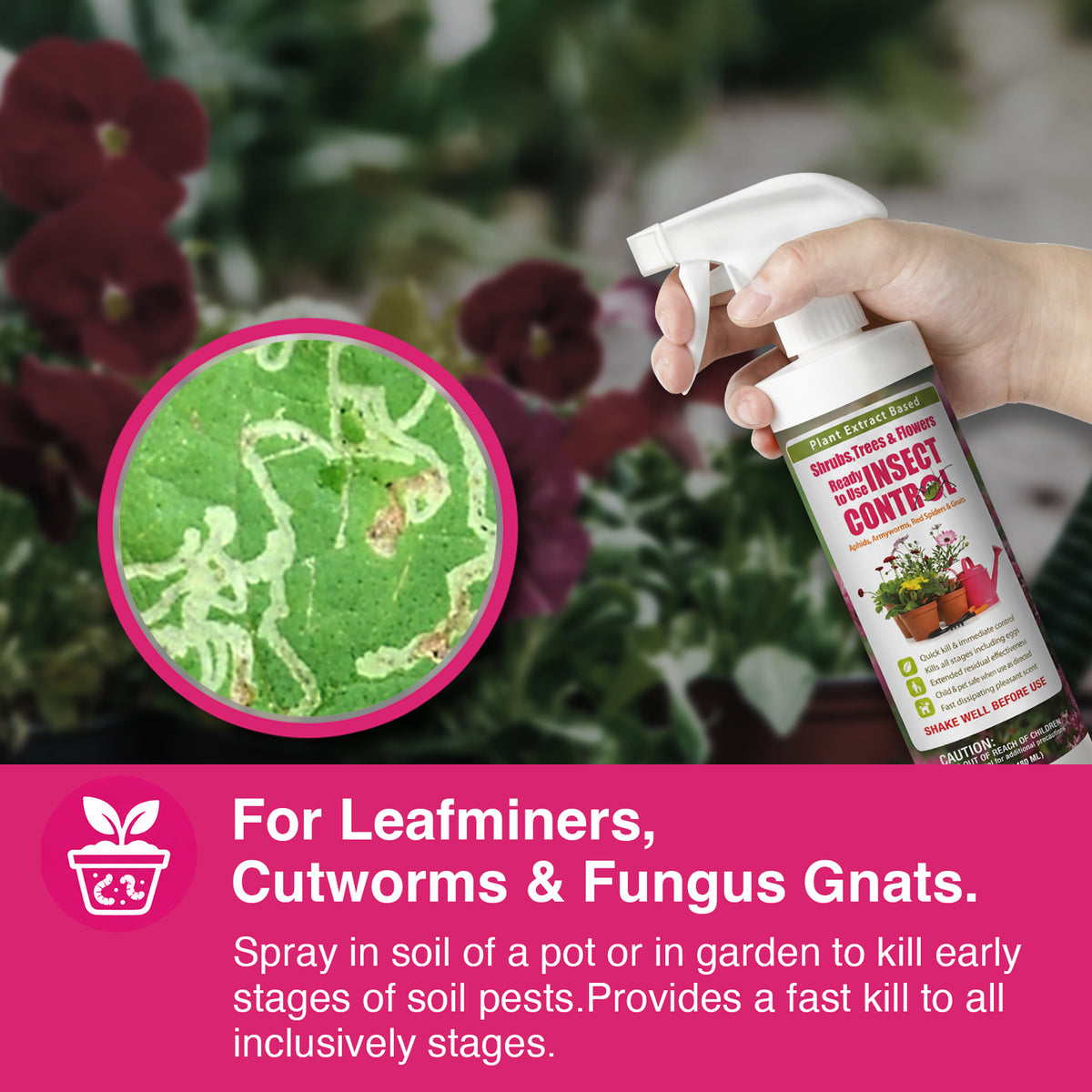 Garden Insect Control Spray 16 oz