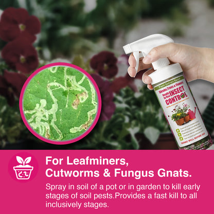 Garden Insect Control Spray 16 oz