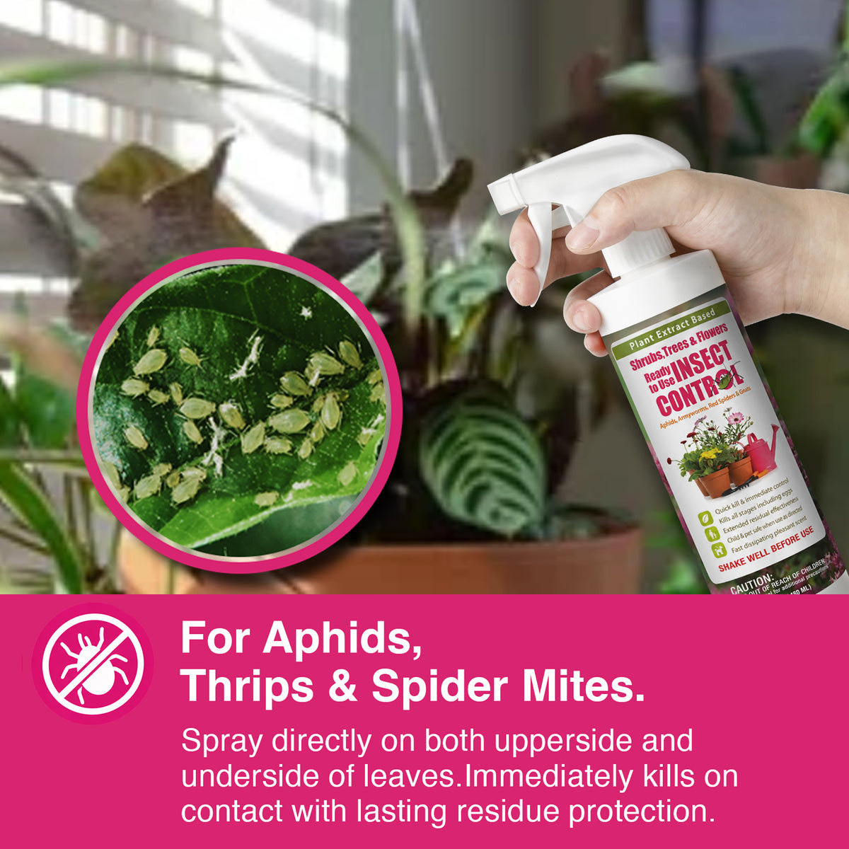Garden Insect Control Spray 16 oz