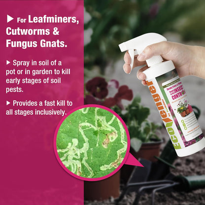 Garden Insect Control Spray 16 oz