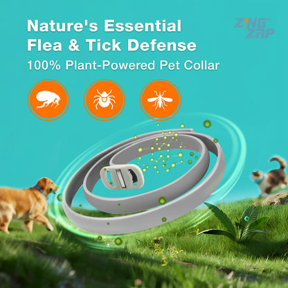 ZingZap Flea & Tick Collar 2-Pack Plant-Based for Dogs & Cats