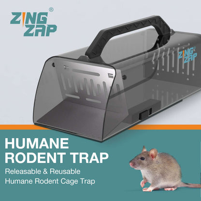 mouse trap