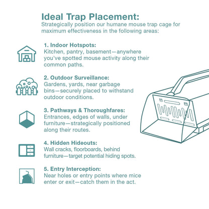 mouse trap