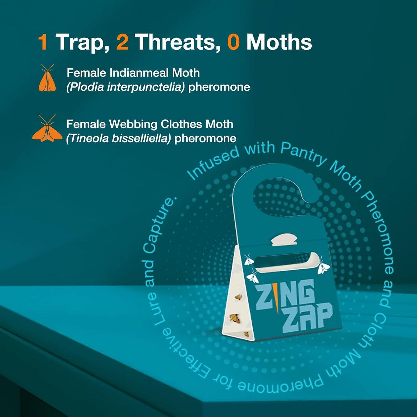 ZingZap Pantry and Clothes Moth Trap 10-Pack