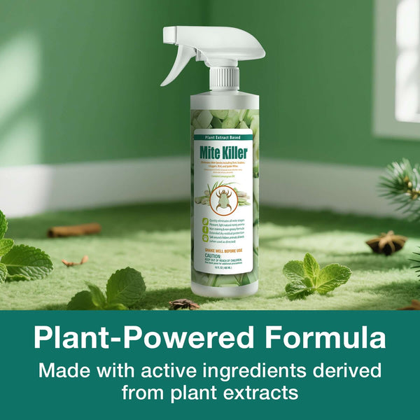 house plant mite spray Mite Killer 16 OZ Spray – Effective & Natural – EcoVenger
