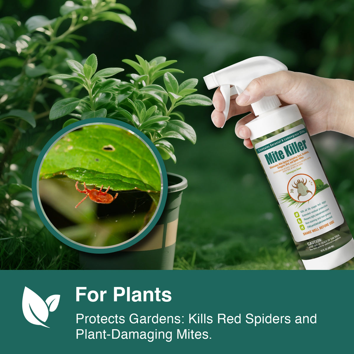 Mite Killer Spray 16 oz