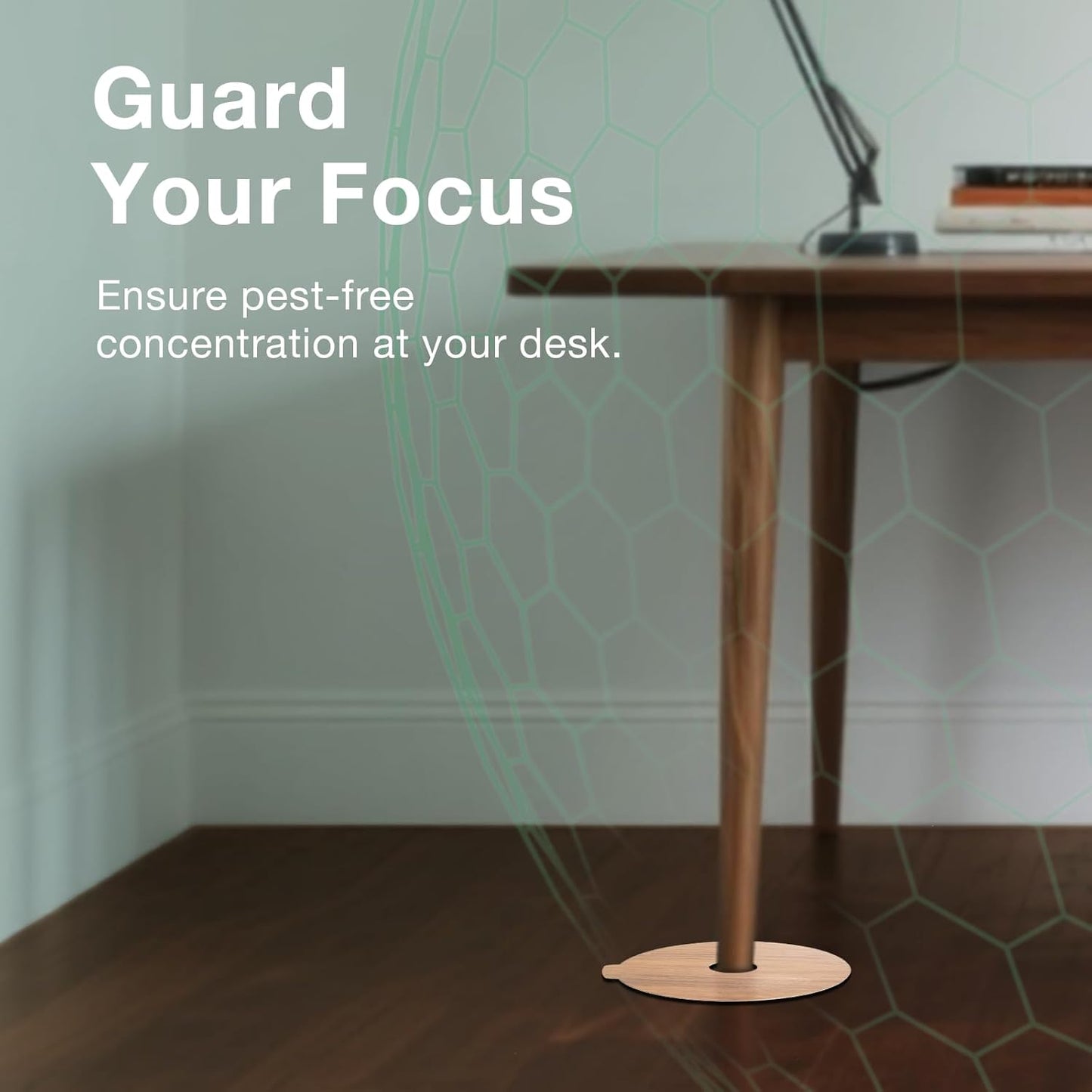 Bed Bug Killer 1 Gallon Refill & DEssential Dust Bundle