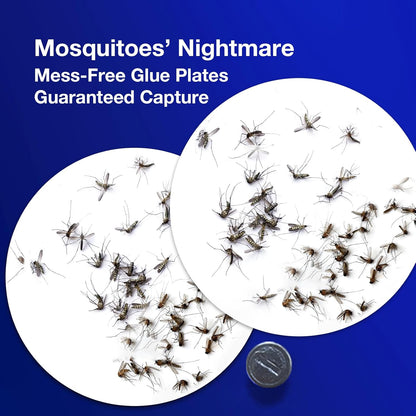 ZingZap Mosquito Bug Trap Station Dual-Baiting Smart Sensor Turbo Jet