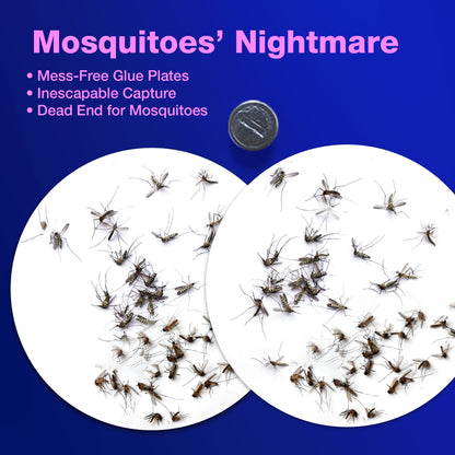 ZingZap Mosquito Bug Trap Station Dual-Baiting Smart Sensor Turbo Jet